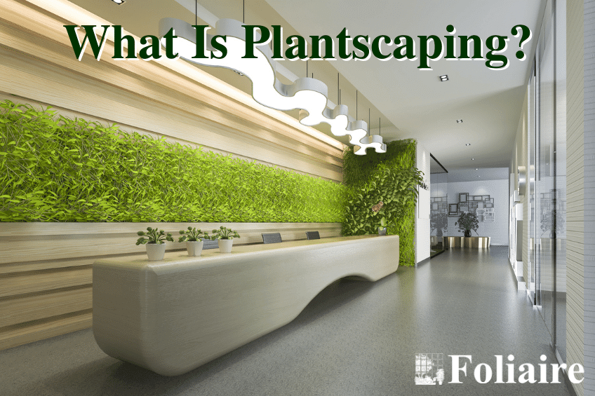 What Is Plantscaping? - Foliaire, Inc. - office plantscaping, interior planting design, interior plant design, living walls, interior plantscaping, plant maintenance services