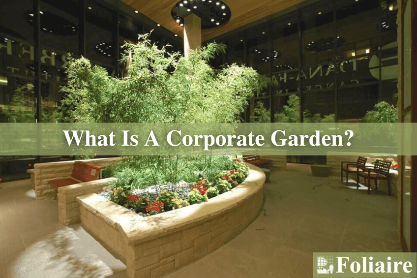 What Is A Corporate Garden - How Corporate Gardens Can Improve Your Workplace - greenscaping design, corporate plantscaping, corporate garden, urban landscaping, Boston fabrication - Foliaire Inc.