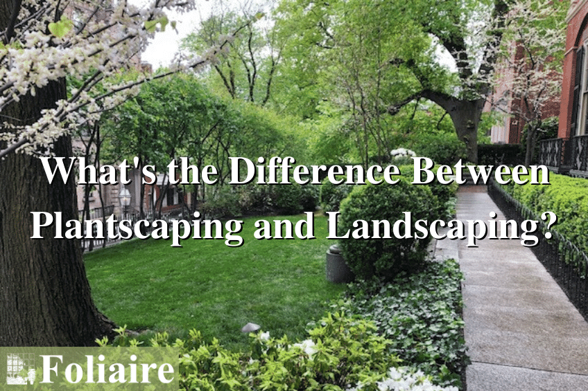 Plantscaping and Landscaping - What's the Difference Between Plantscaping and Landscaping? - Foliaire Inc. - office plantscaping, corporate plantscaping, interior plantscaping, indoor plantscaping, living walls