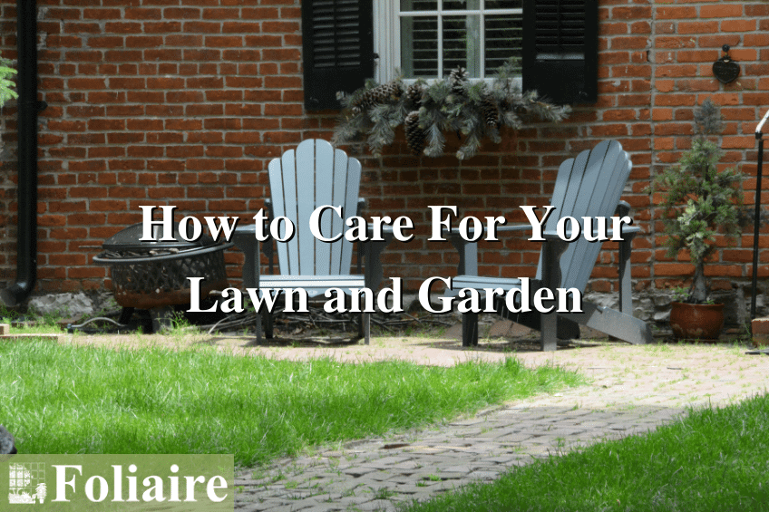 Plant Care - How to Care for Your Lawn and Garden - Foliaire - plant care, plant watering, custom exterior landscape, exterior landscape design, Boston exterior design