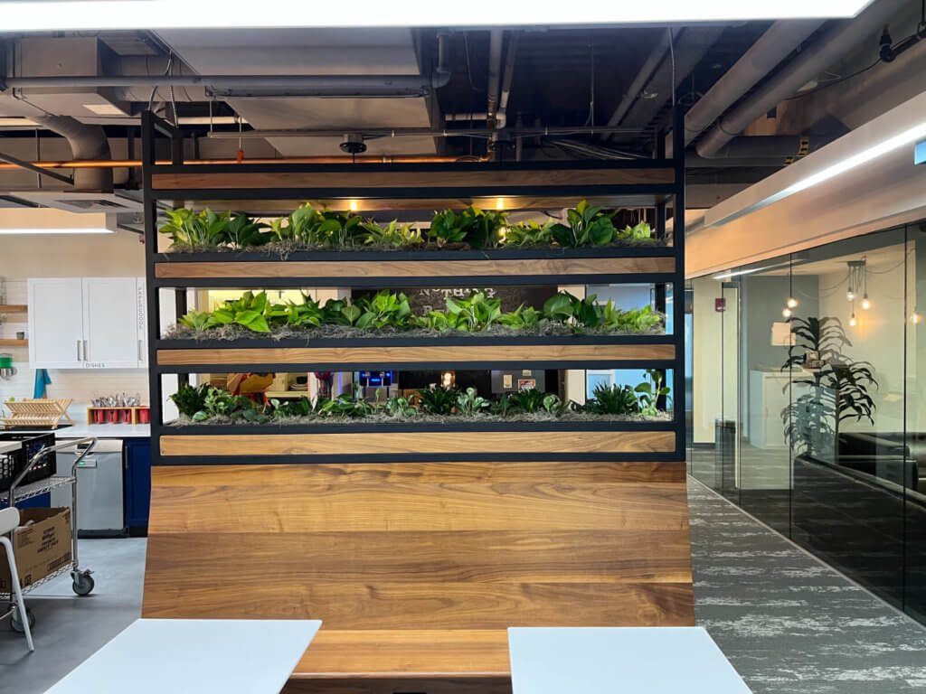 office planting design, corporate interior, corporate plants, office plant watering, office interior plants - Foliaire Inc. Boston MA