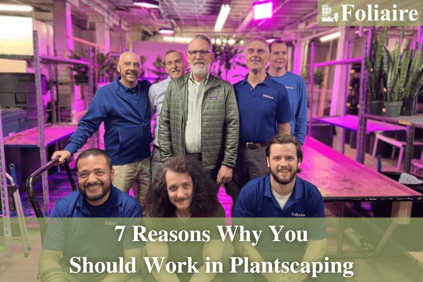 7 Reasons Why You Should Work in Plantscaping - Foliaire Inc. Boston MA - work in plantscaping, landscaping jobs, living walls, interior plant design, Boston landscaping jobs